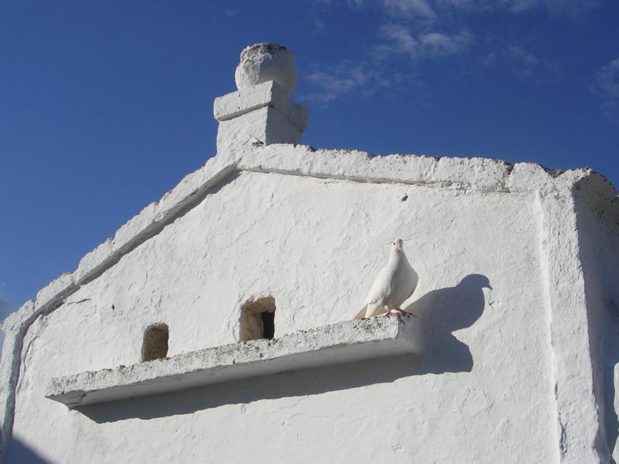 Masseria Purgatorio Fasano Exteriér fotografie