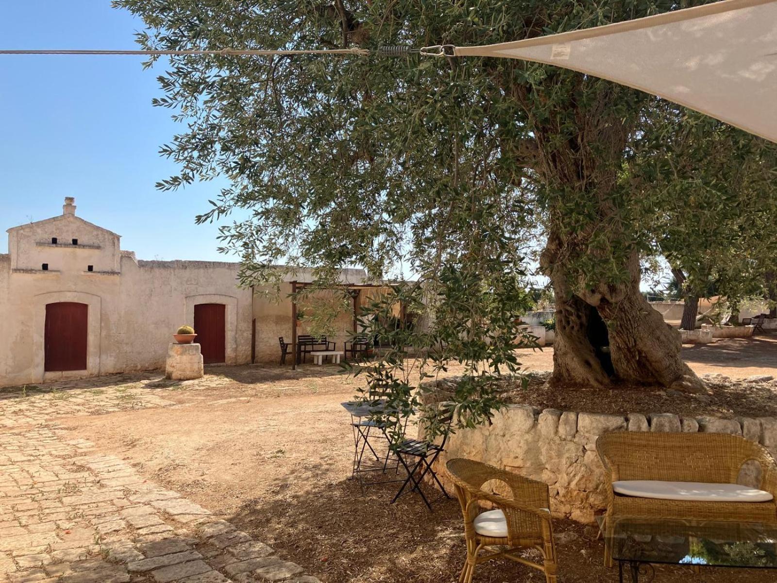 Masseria Purgatorio Fasano Exteriér fotografie