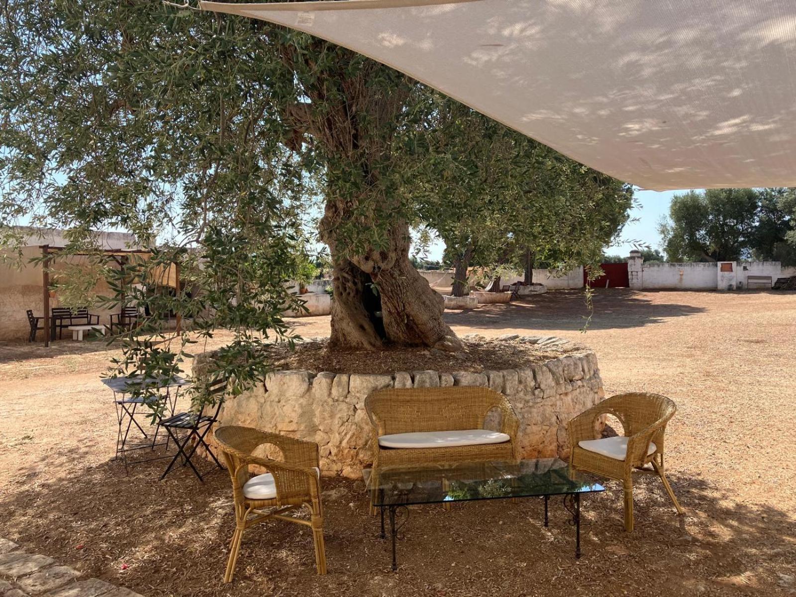 Masseria Purgatorio Fasano Exteriér fotografie