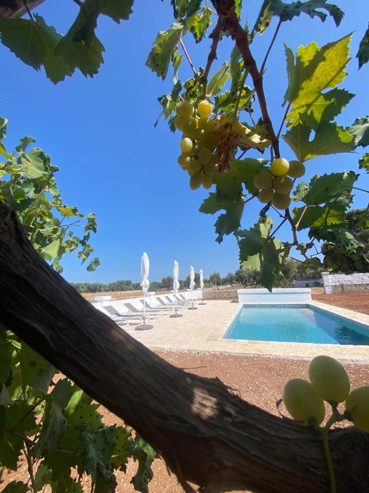 Masseria Purgatorio Fasano Exteriér fotografie